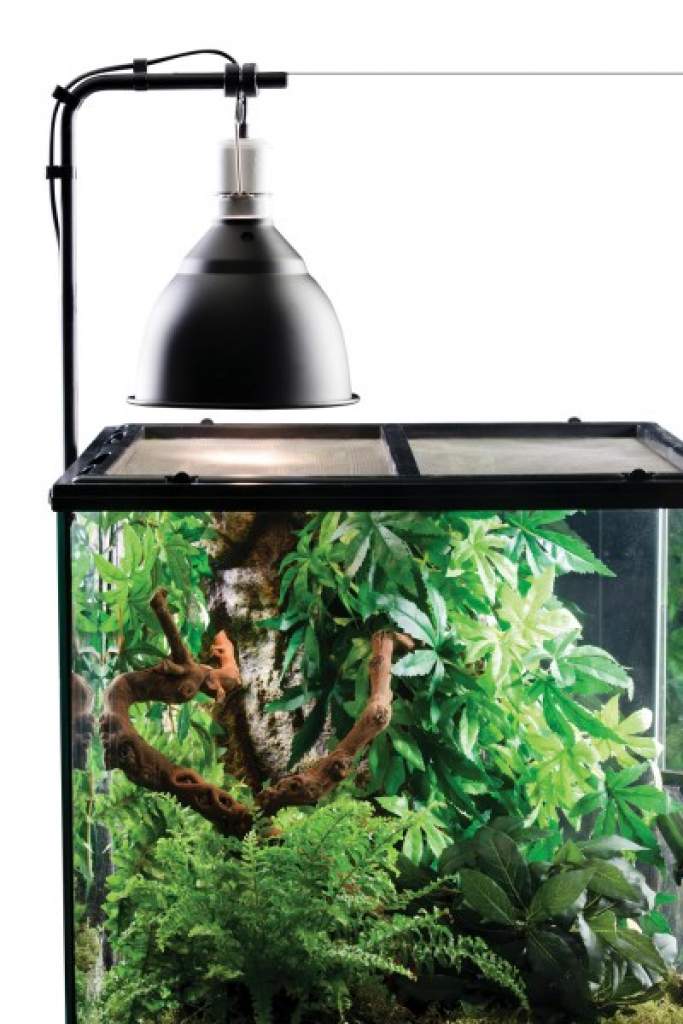 Exo Terra Lichtklammer